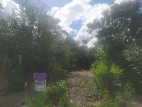 Terreno - Venta - Argentina, Lobos