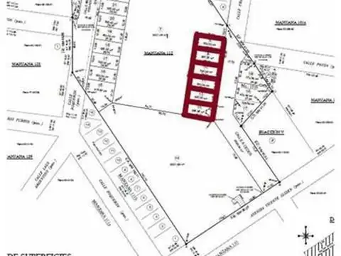 Fray Luis Beltran Al 1100