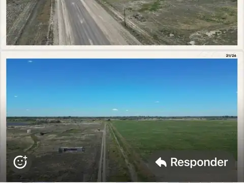 Campo de 875 has. en Venta - en Guardia Mitre Pcia de Río Negro