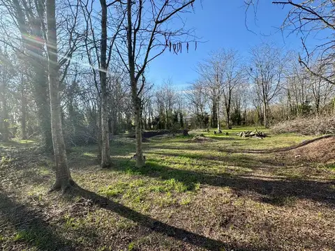 Venta Lote 5.000 m² en Arturo Seguí – Salida al Arroyo San Juan | Financiación Directa
