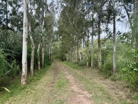 Venta Lote 5.000 m² en Arturo Seguí | Arroyo San Juan | Financiación Directa