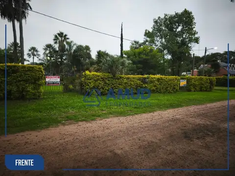 LA PALMERA 3700