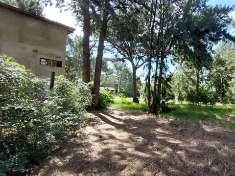 Calle 313 entre Alameda 219 bis y 220