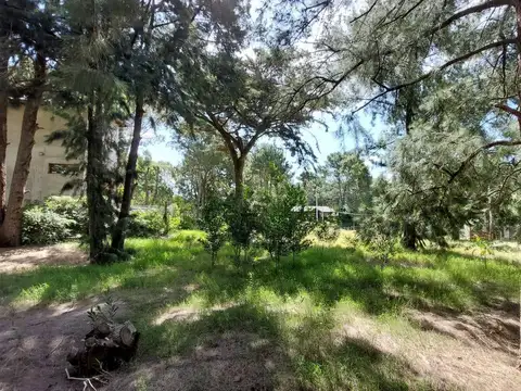 Calle 313 entre Alameda 219 bis y 220