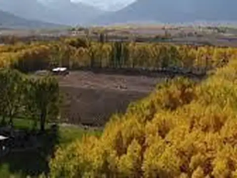 Calle Nueva Sin Número con intersección Ruta Nacional N° 149 - Los Tambillos - Uspallata - Mendoza