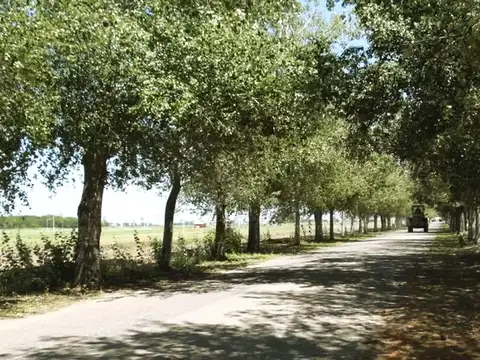 Terreno en Venta de 539,0 m2