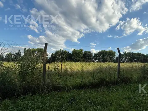 Avenida Dardo Rocha y Velez Sardsfield al 2400