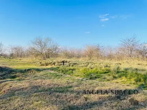 Hermoso Campito de dos hectareas.