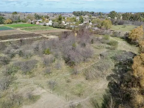 Hermoso Campito de dos hectareas.