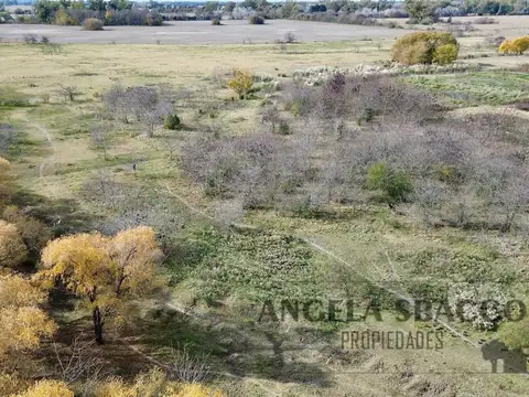 Hermoso Campito de dos hectareas.