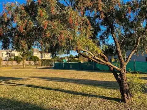 Terreno en Venta en Pilar del Este - San Alfonso, USD 45.000