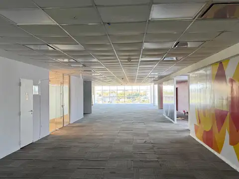 Oficina en Alquiler A Estrenar