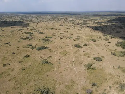 3261 has ganaderas de cría sobre Ruta Nac. N°98 (asfaltada) - Tostado - Santa Fe