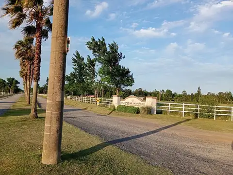 VENTA DE TERRENO EN CAMPIÑA DE PIÑERO