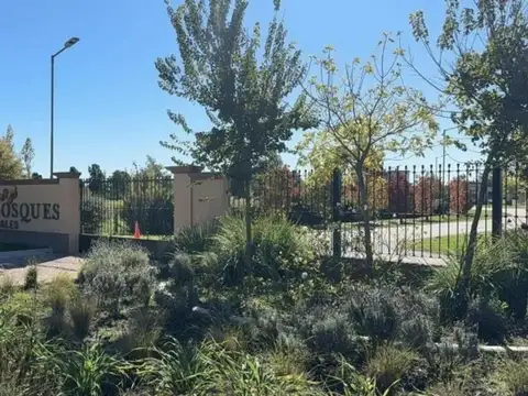 Terreno en Venta de 1070,0 m2