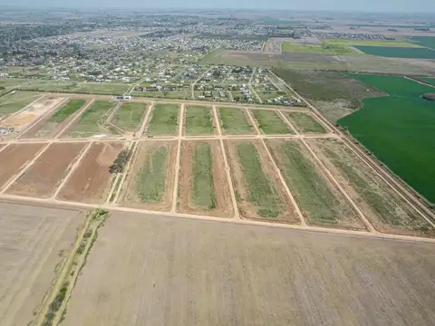Heroes de Malvinas - LOTES 24/25/26/27/28