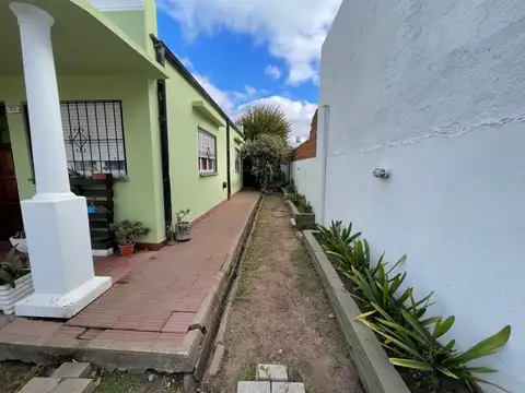 Homero 3600