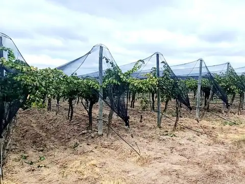 Terreno en Venta de 240000,0 m2