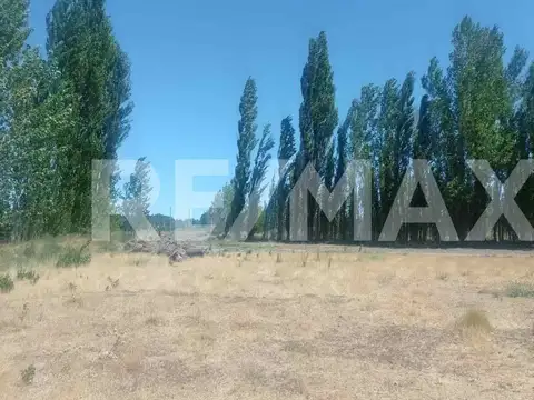 Terreno en Venta en China Muerta, $ 13.000.000