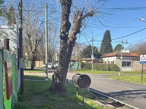 Lote De Vicenzo Grande C.11110