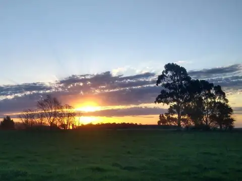 Terreno en Venta 17  mts Frente