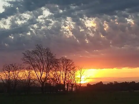 Terreno en Venta en Vela, USD 12.000