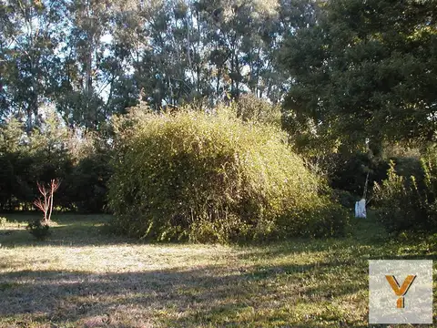 Terreno en Venta 52  mts Fondo