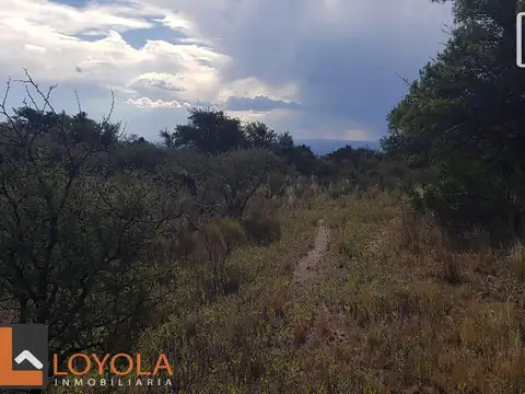 Terreno en Venta de 20000,0 m2