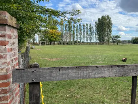 Terreno en Venta de 5000,0 m2