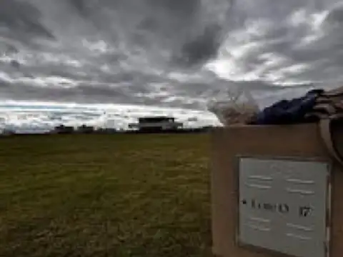 Los Pasos del Jockey III