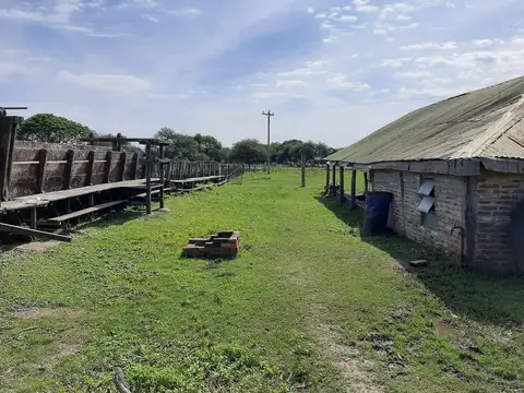 Campo en Entre Ríos  2.025 has ganadero