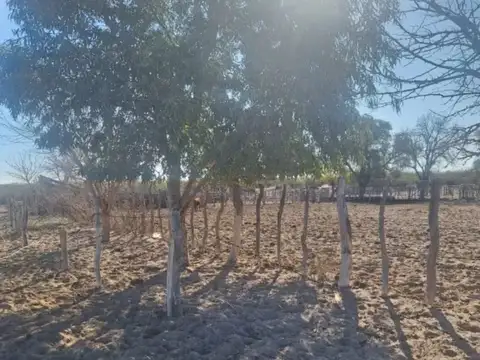 Campo - Punta De Agua