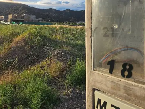 VENTA DE LOTE EN LA BASTILLA- LAS HERAS, MENDOZA. ID: 311368