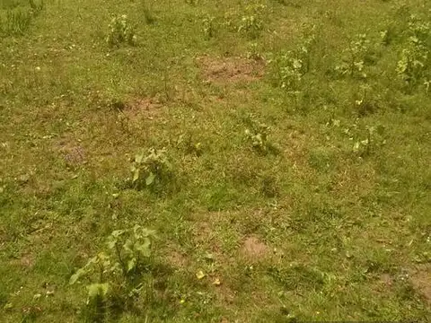 Guiraldes 1218-esquina Solis.