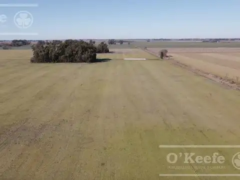 367 Has 85 % agrícolas en Chivilcoy