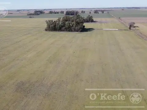 400 Has 85 % agrícolas en Chivilcoy