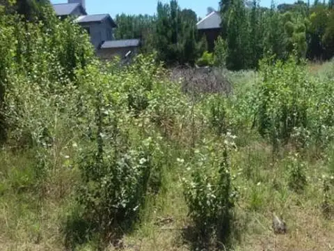 Terreno en Venta 34,50  mts Frente