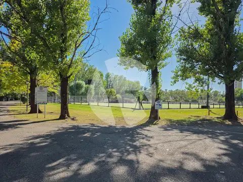 Francisco Alvarez  al 3900