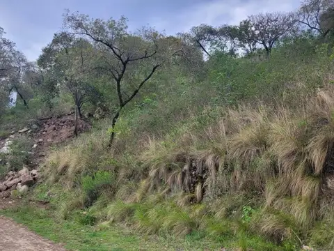 Terreno en Venta en Ñu Pora, USD 6.300