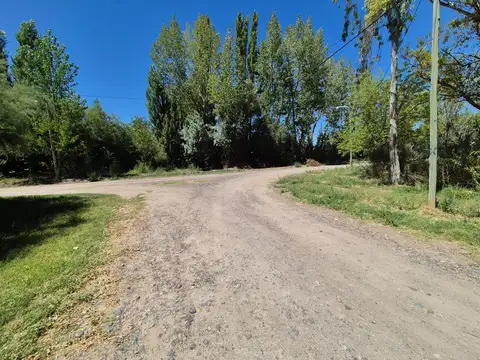 Israel y Los Eucaliptos, General Roca