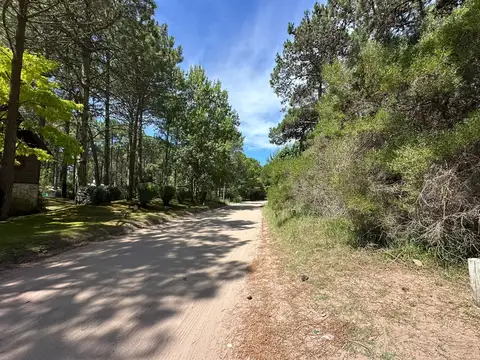 Terreno en Venta 21  mts Frente