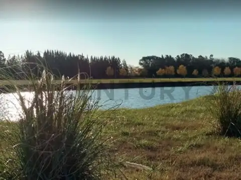 Lote en venta Brandsen