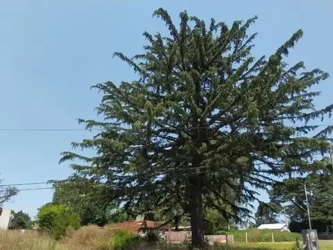 Terreno en Venta de 760,0 m2