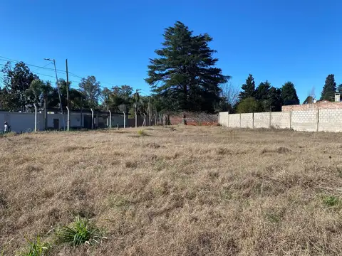 Terreno en Alquiler de 1166,0 m2