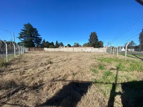 Terreno en Alquiler 53  mts Fondo