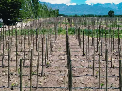 Terreno en Venta en El Cepillo, USD 9.000