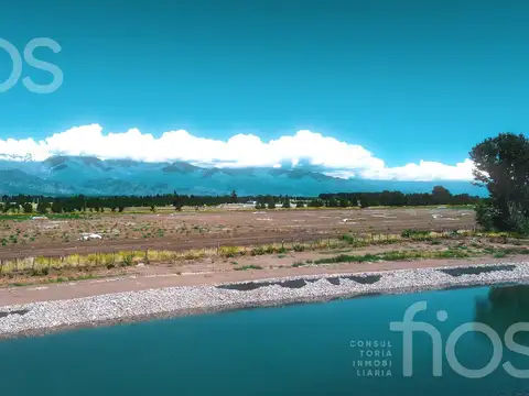 VENTA PARCELA DE VIÑEDO PROPIO  40 M LINEALES EN VALLE DE UCO, MENDOZA
