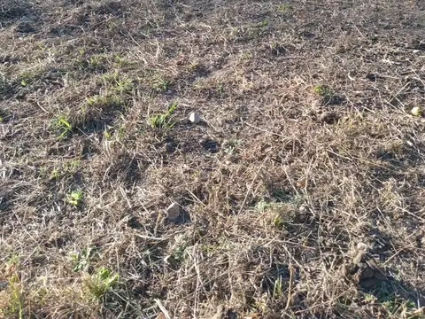 Terreno en Venta de 570,0 m2