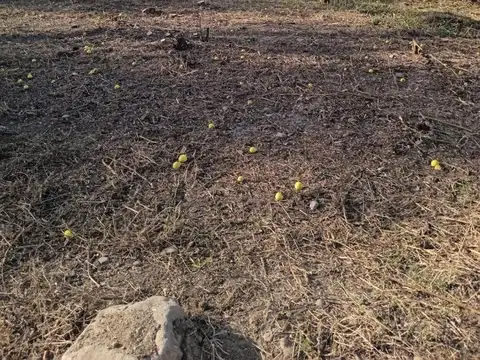Terreno en Venta en Vaqueros, USD 15.000