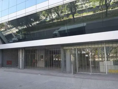 Pellegrini Carlos al 600